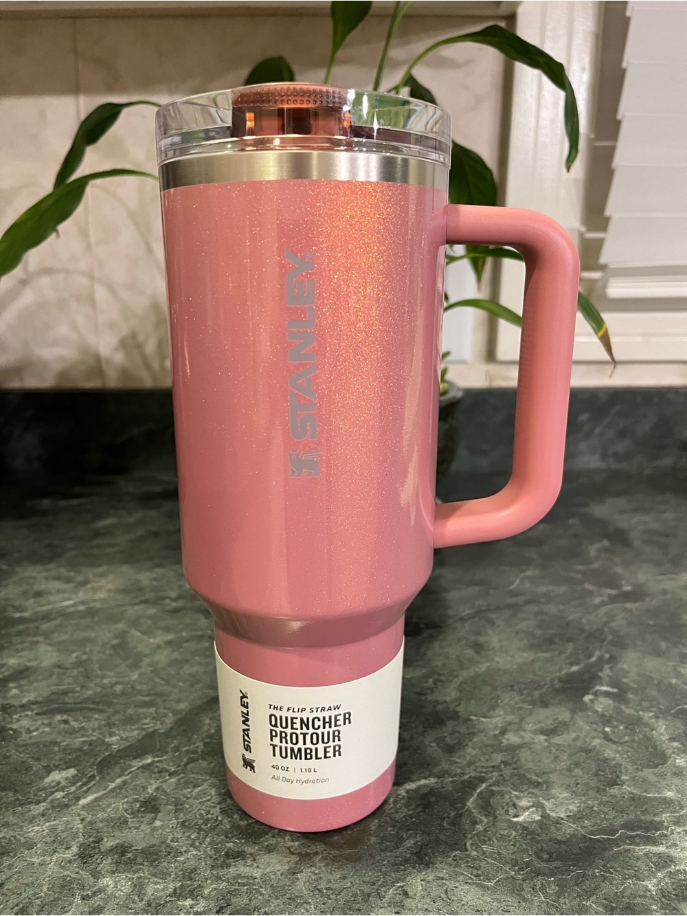 *NWT* Stanley Stainless Steel Flip Straw Quencher Protour Tumbler 30 oz